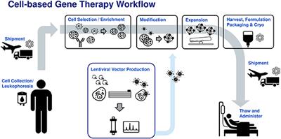 Industrializing Autologous Adoptive Immunotherapies: Manufacturing Advances and Challenges